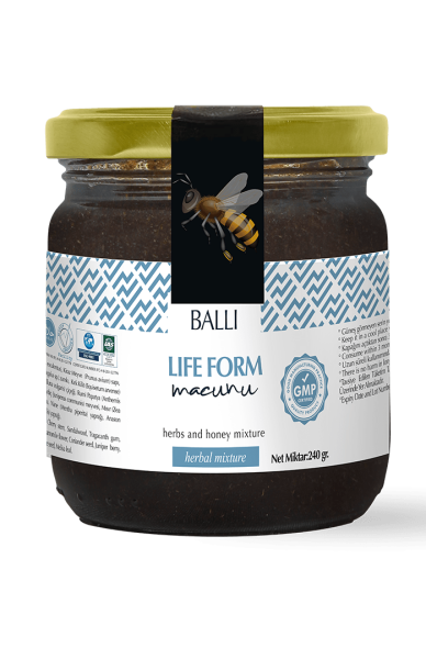 TOPTAN Life Form Macunu 240 gr