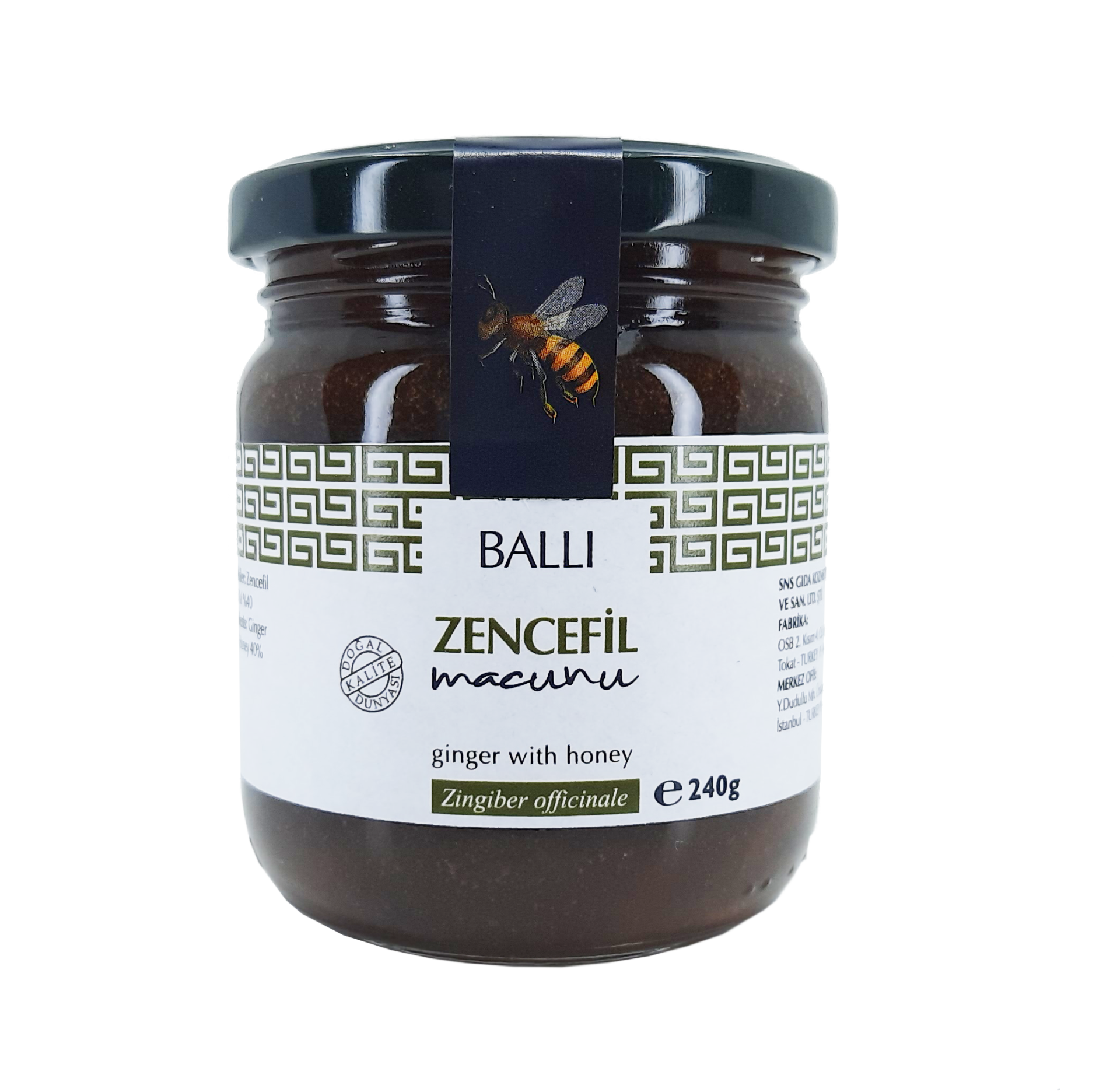 TOPTAN  Zencefil Macunu 240 gr