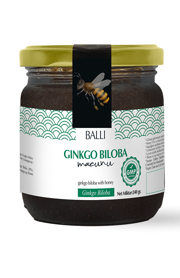 Gingko Biloba Macun 240 GR