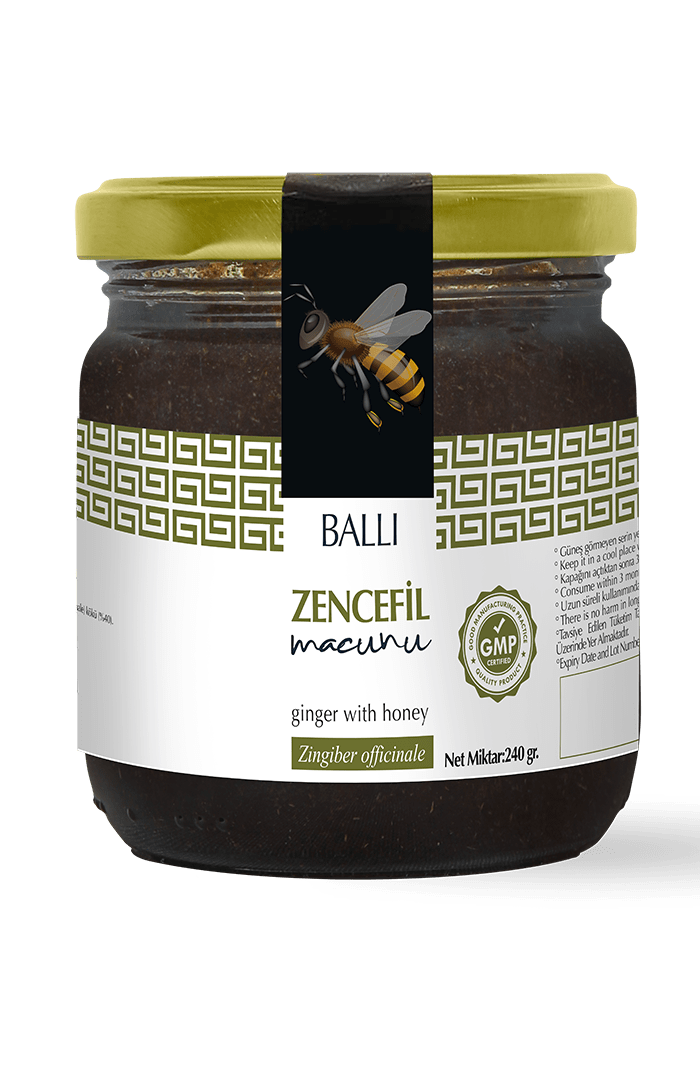 Zencefil Macunu 240 GR