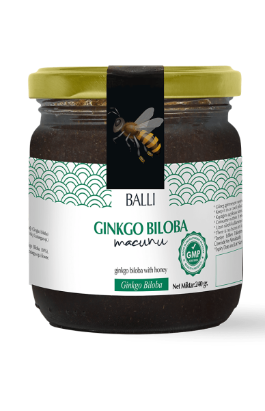 TOPTAN Gingko Biloba Macun 240 gr