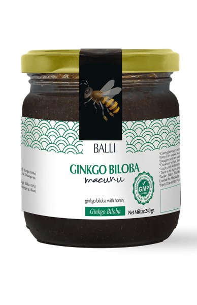 TOPTAN Gingko Biloba Macun 240 gr