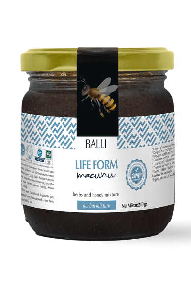 TOPTAN Life Form Macunu 240 gr