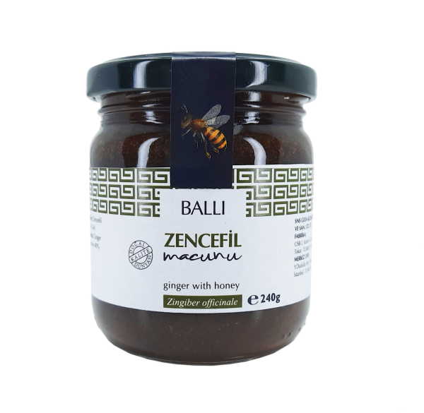 TOPTAN  Zencefil Macunu 240 gr